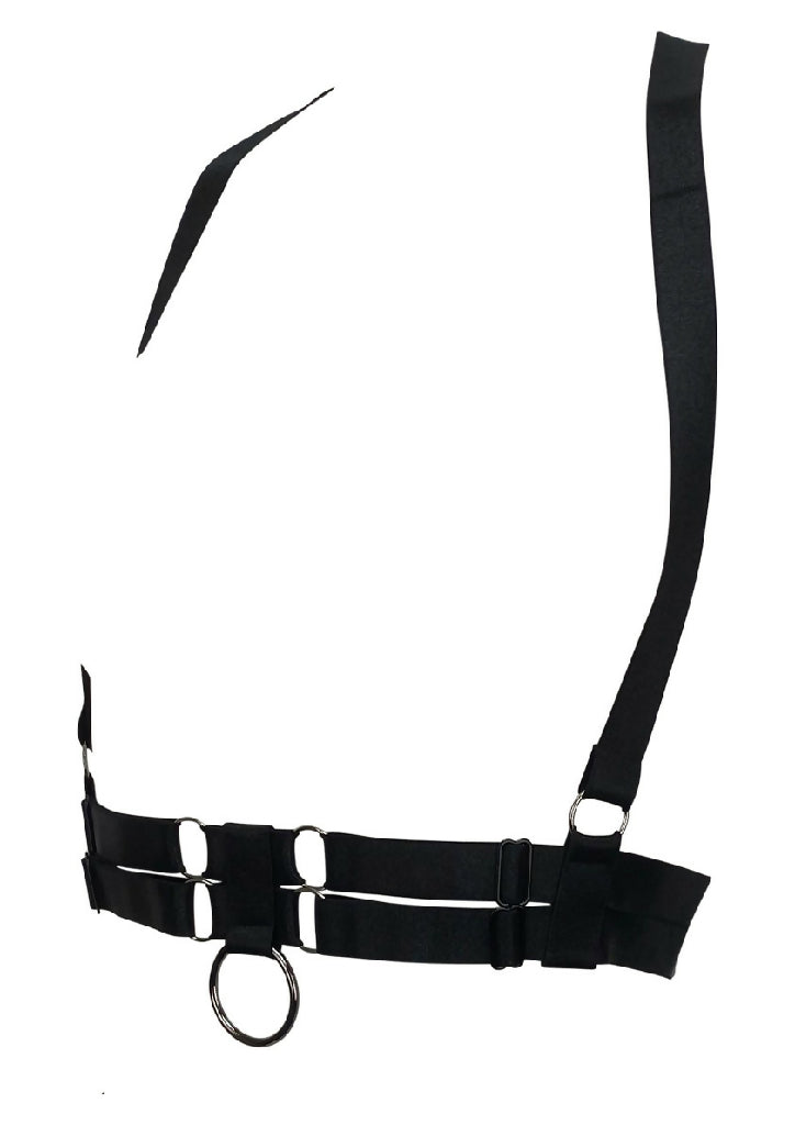 harness2