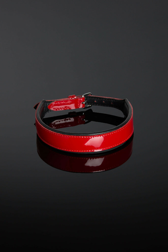 Rouge Eclipse Collar (3)
