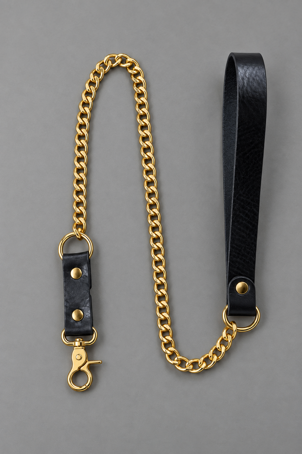 Leash with Chain