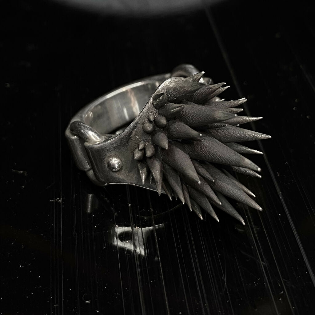 24FD2349-FC7F-46FC-8D1C-60D668898B16