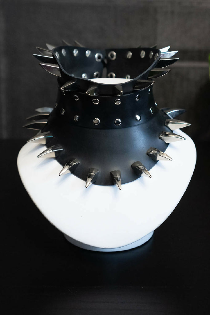 RC29