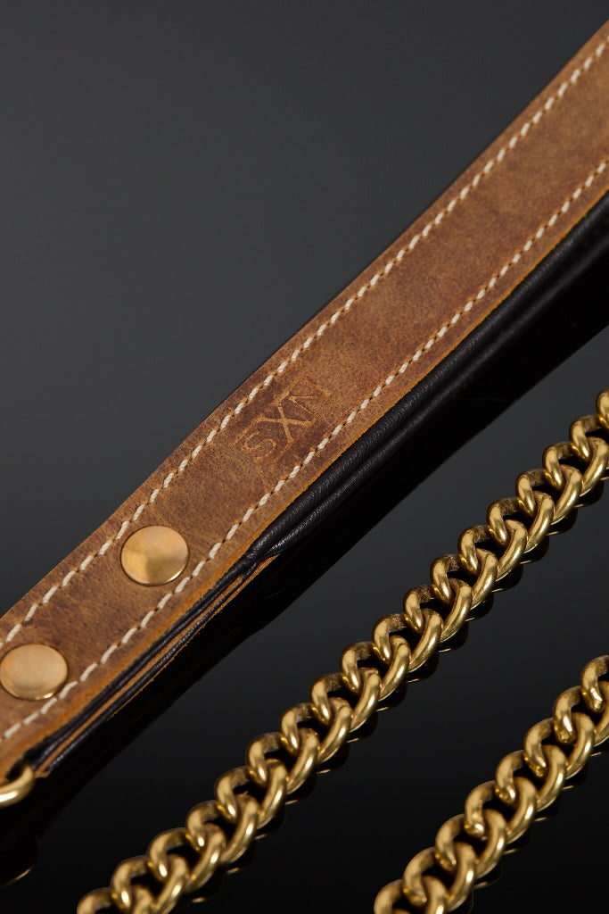 Terra Leash (2)
