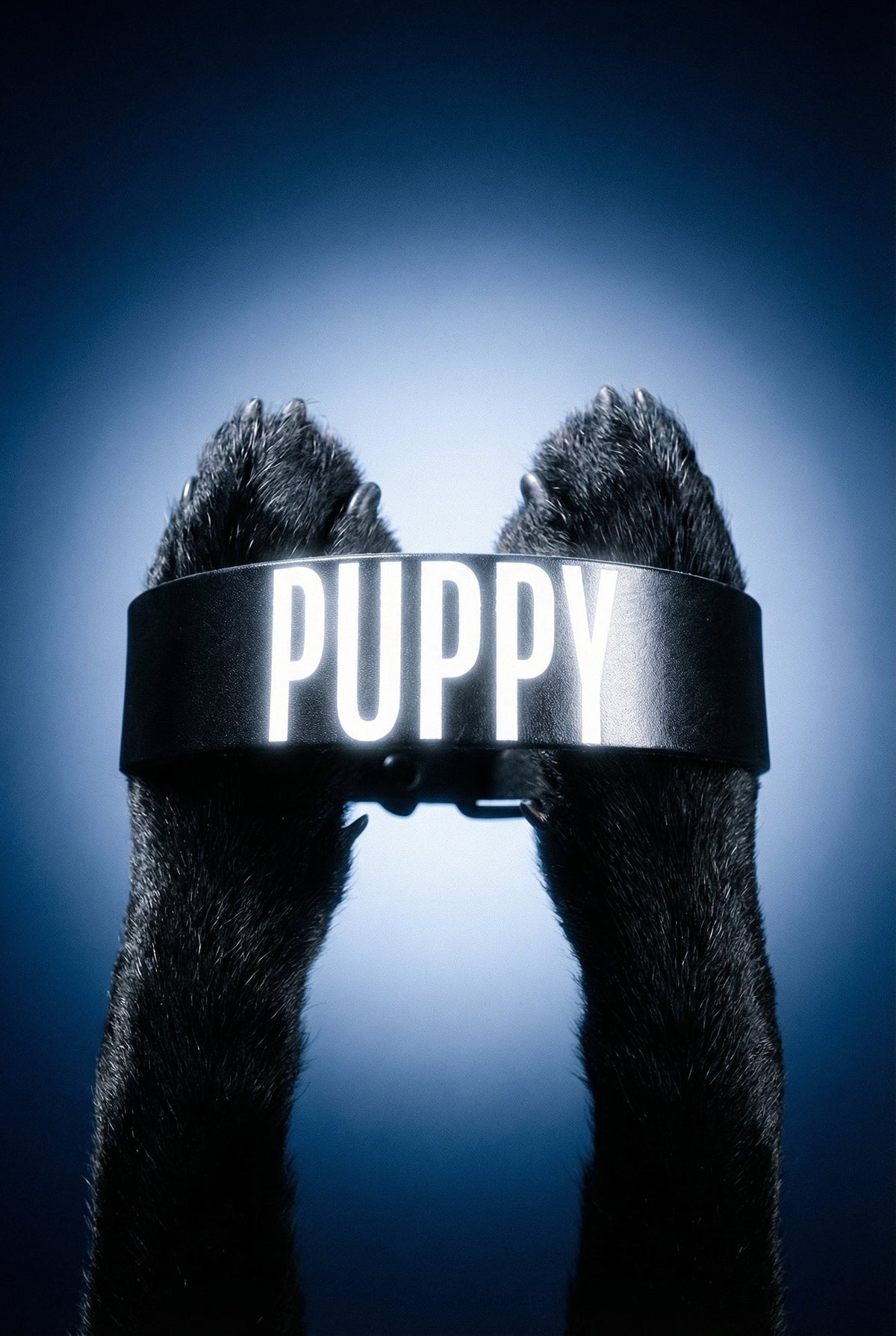 Collar XL "PUPPY"