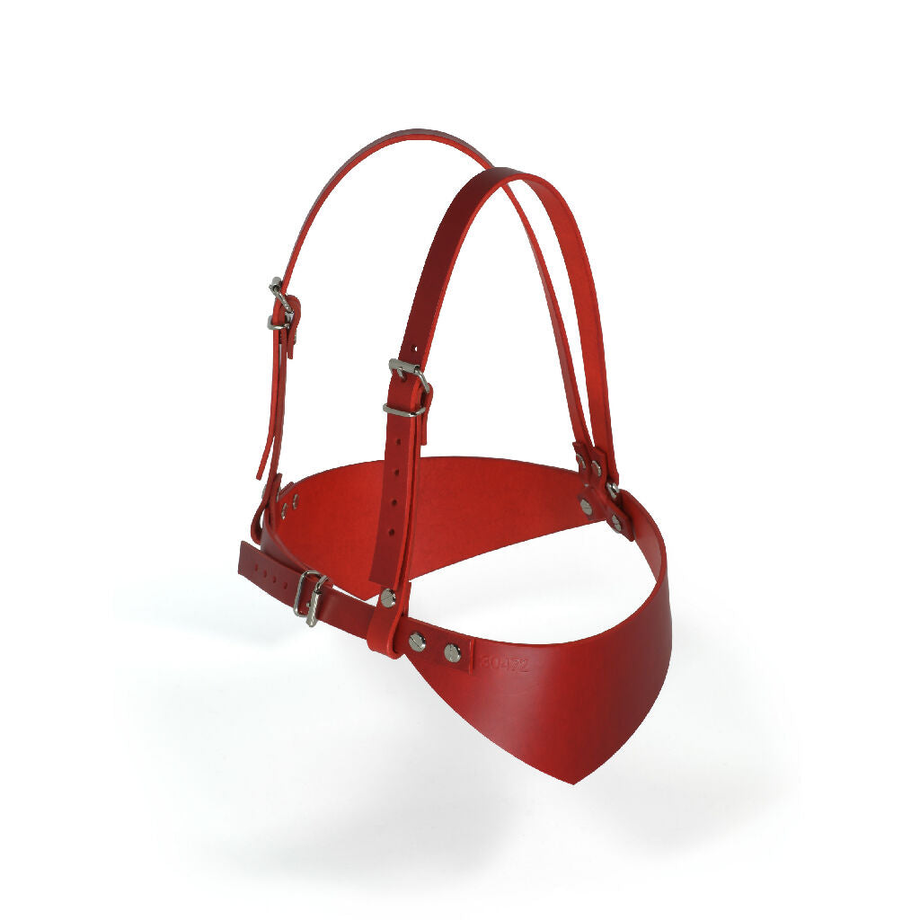 Leather Bra Harness