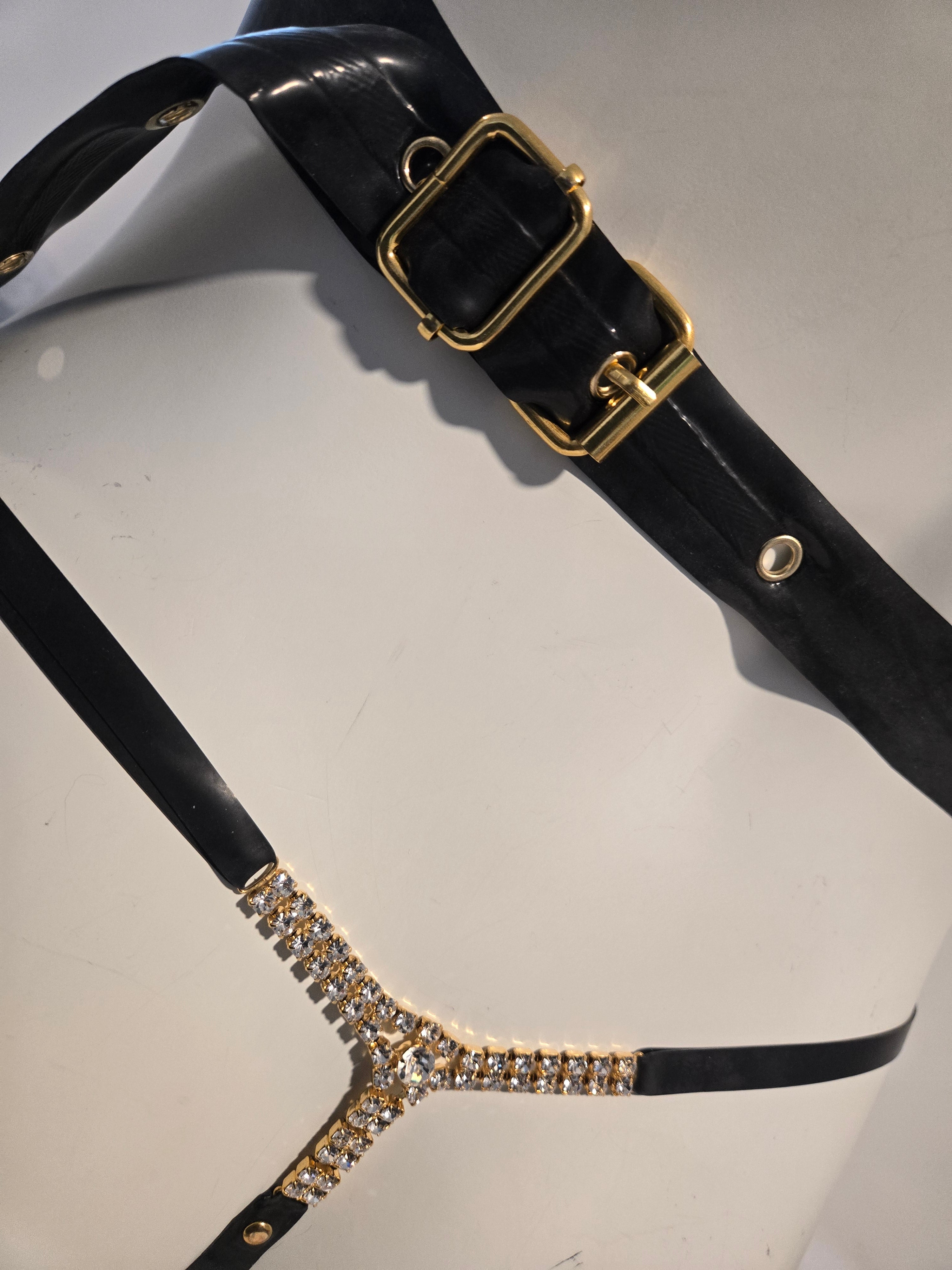 Buckle Set