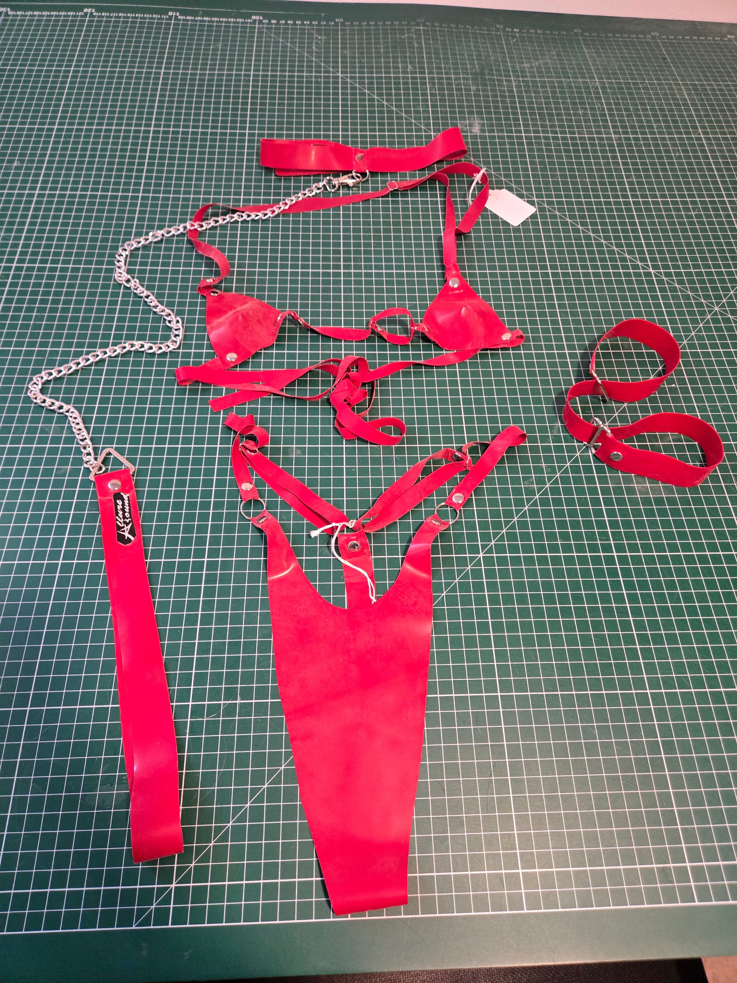 Collar and Leash