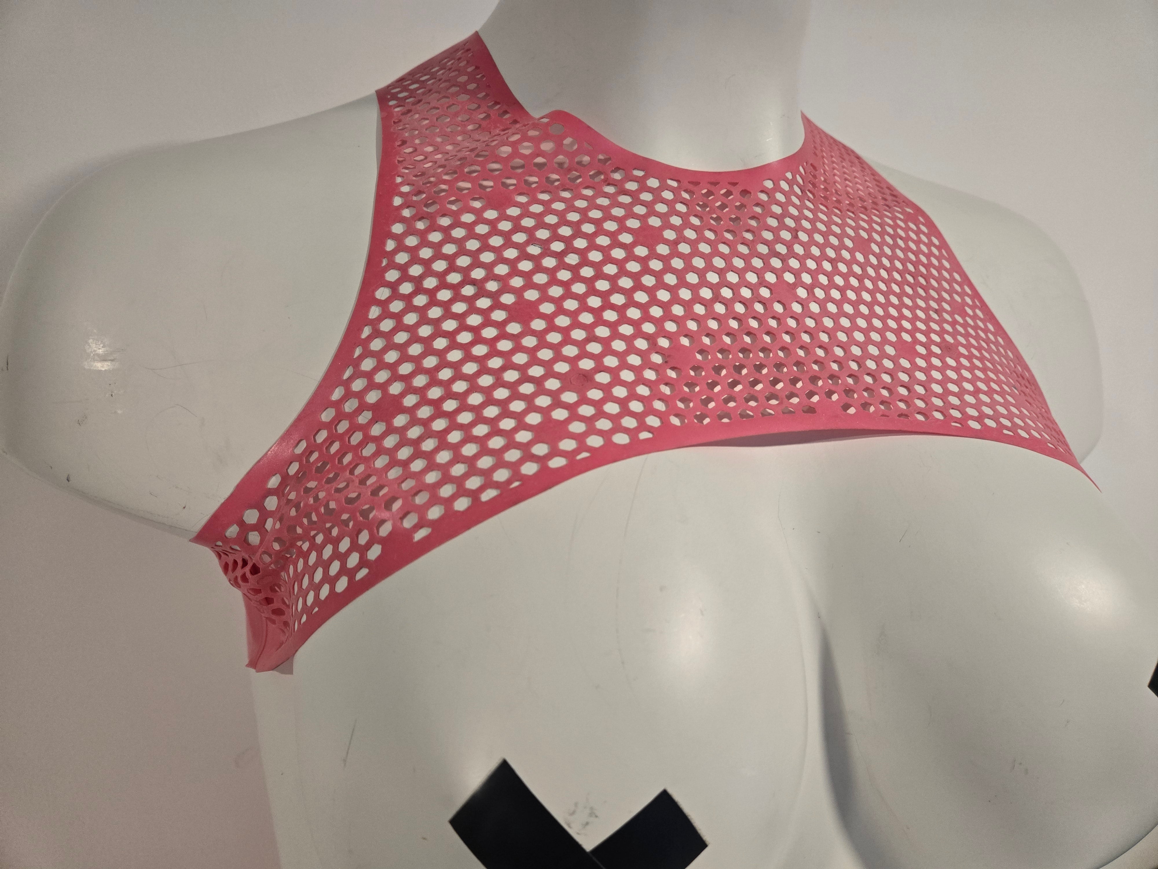 Dot.Net Harness