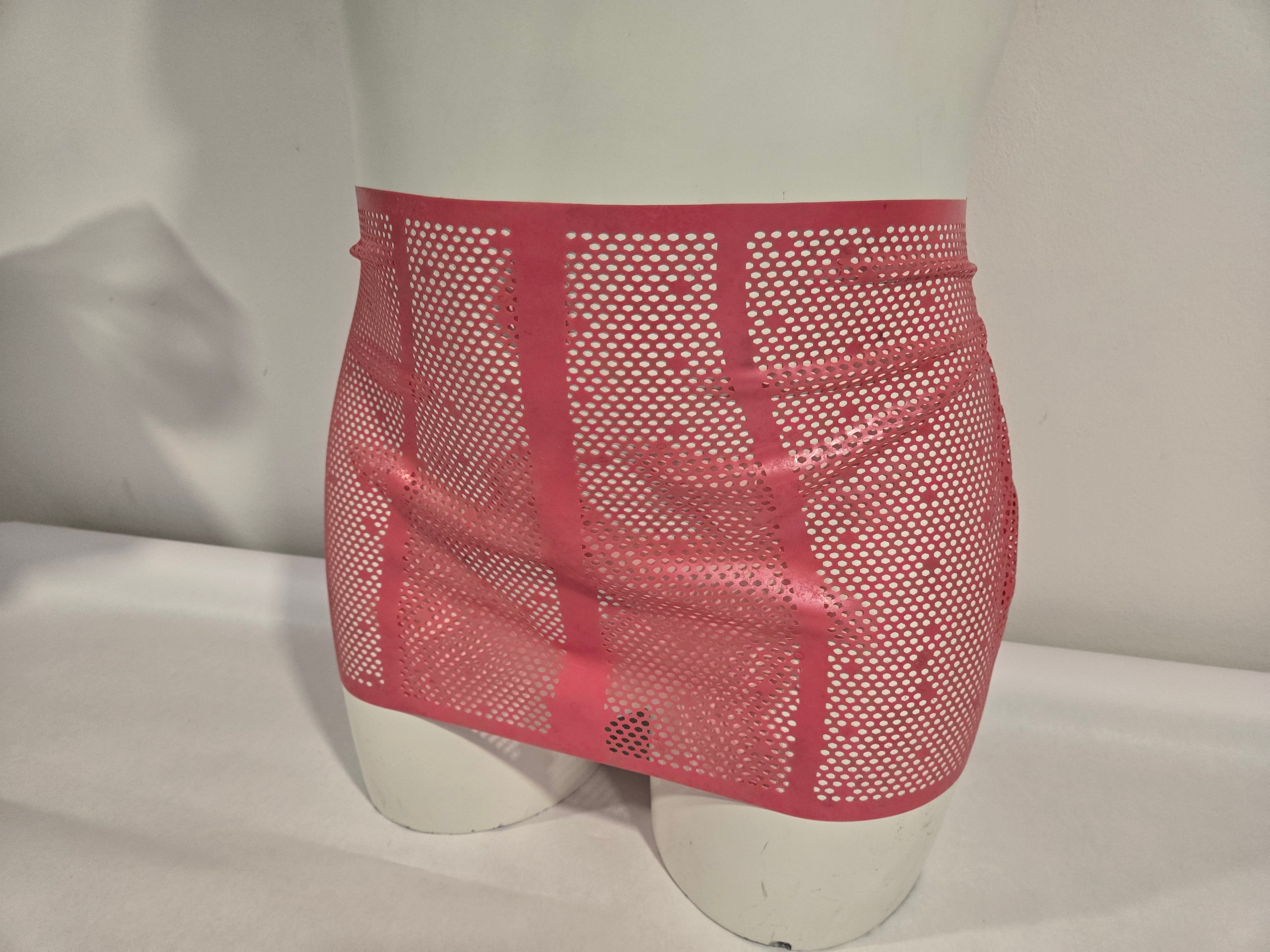 Dot.Net Mini Skirt