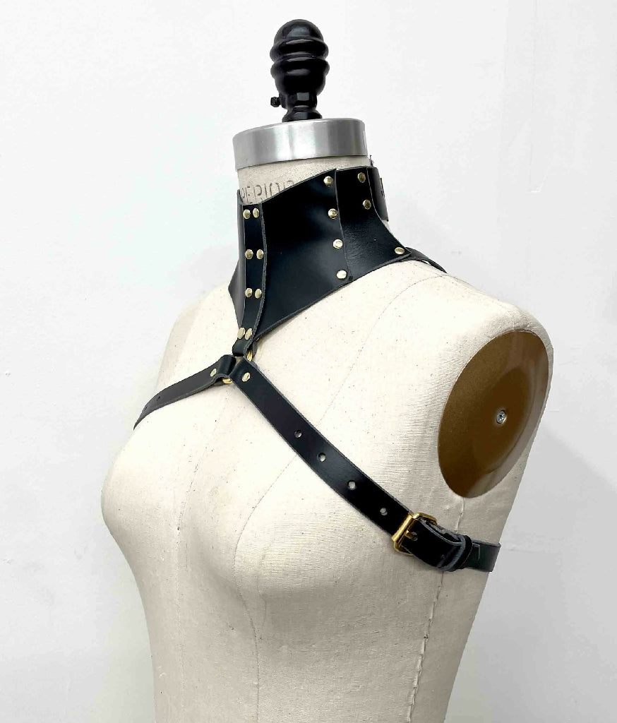 Stigma Leather Posture Collar Harness