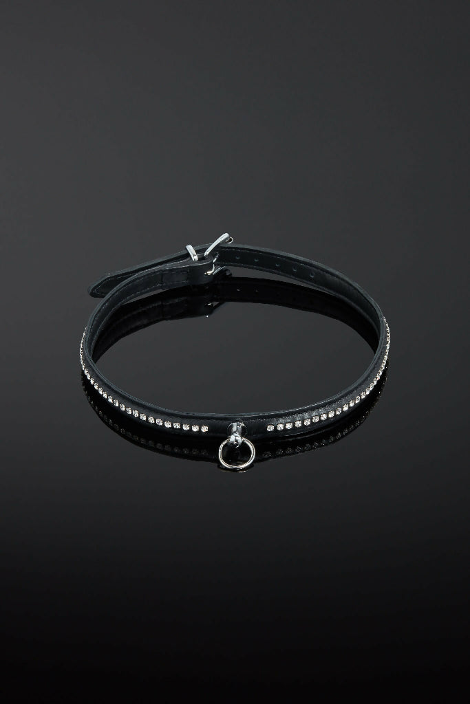 House of SXN Opulenta Elegans Leather Slave Collar (2)