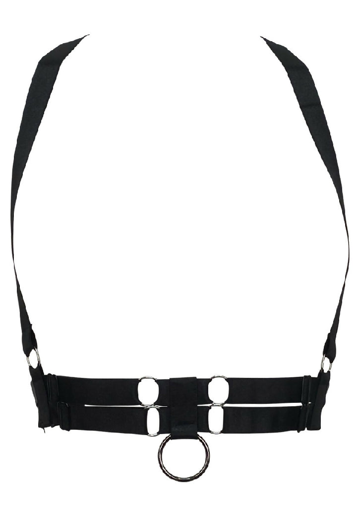 Harness1
