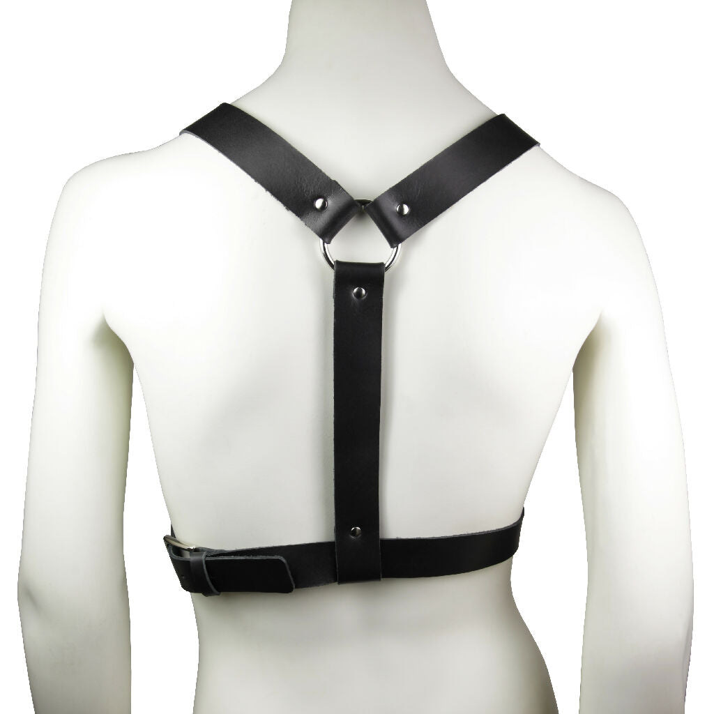 Harness 3 CM Black Back
