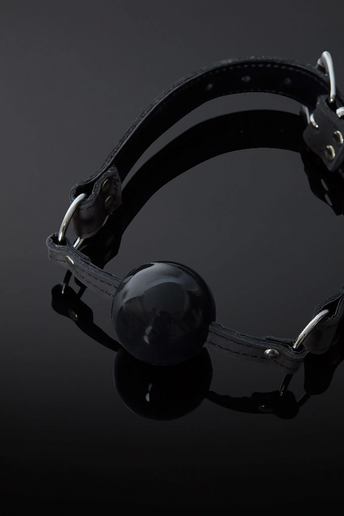 The Sphaera Leather and Silicone Ball Gag
