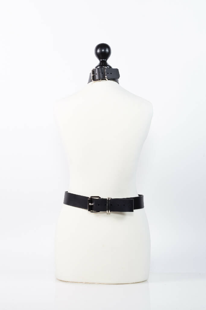 Caesar harness