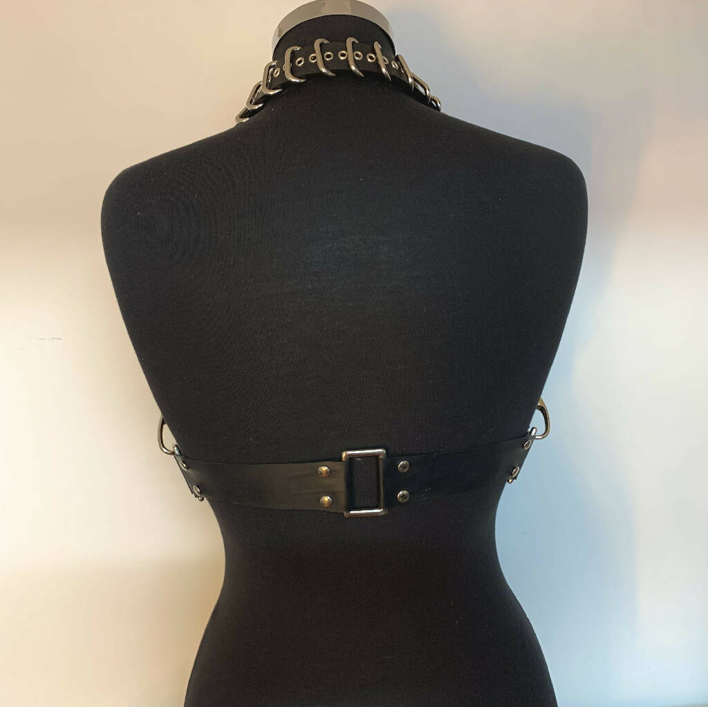 Sly Harness/belt