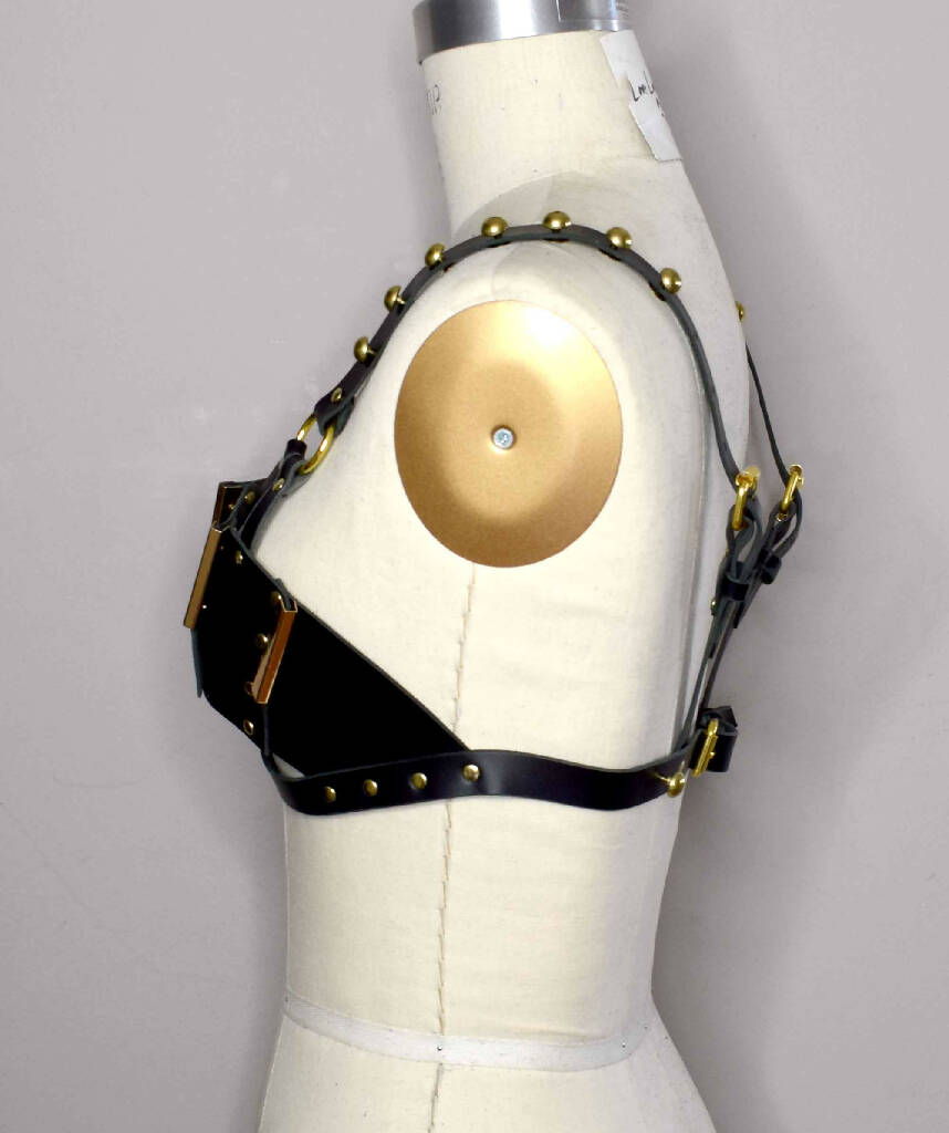 Morgana Paneled Leather Bra Top