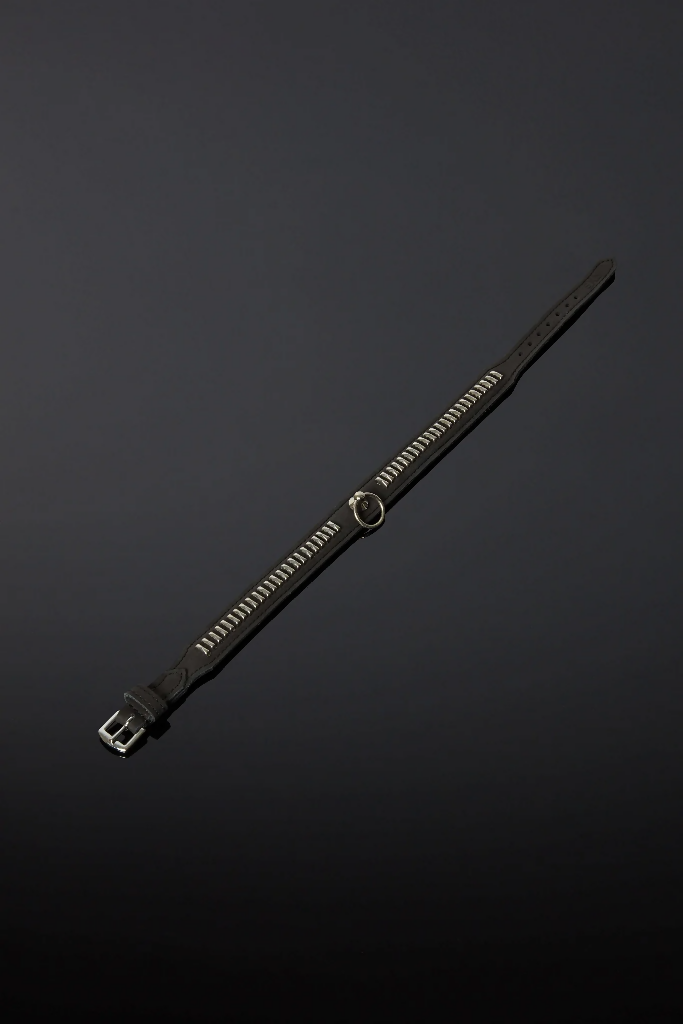 House_Of_SXN_Vectes_Slave_Collar_4