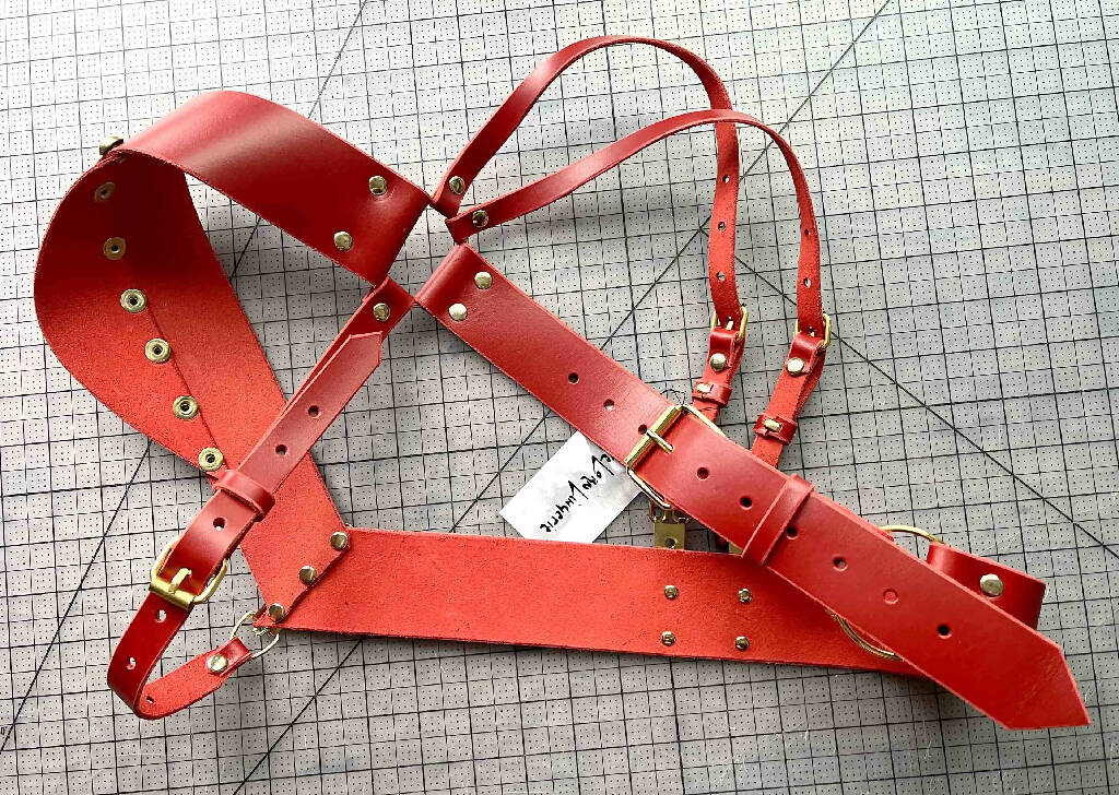 Martial Asymmetrical Leather Harness
