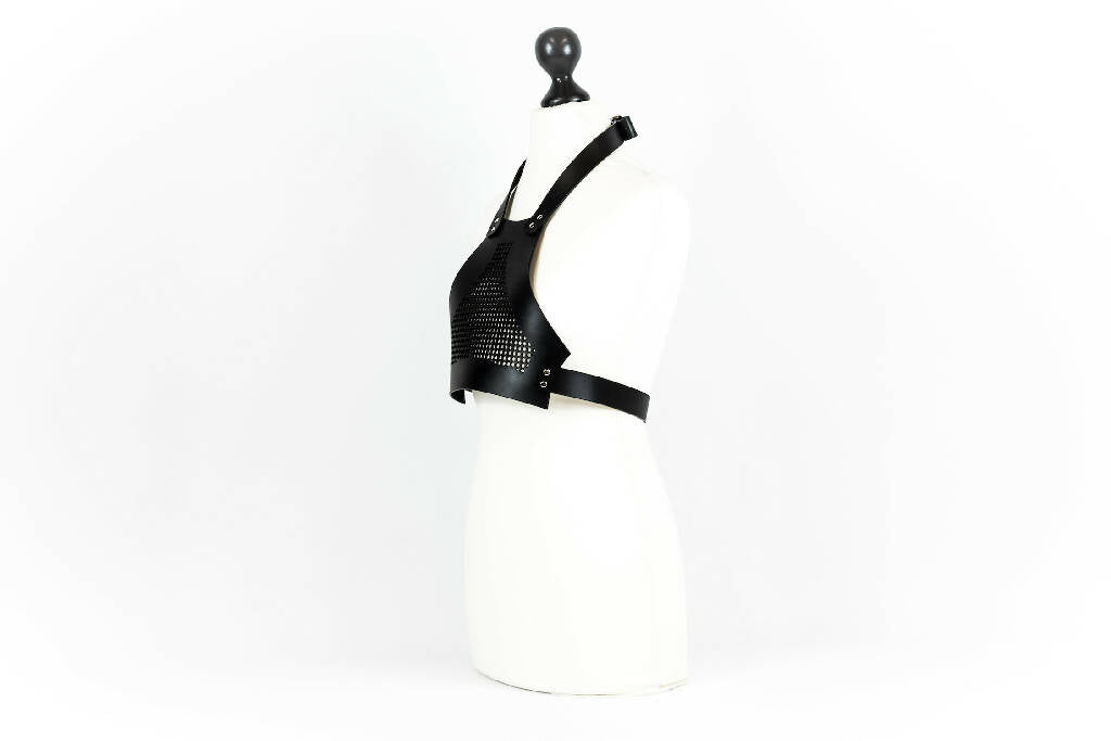 Mysterious harness