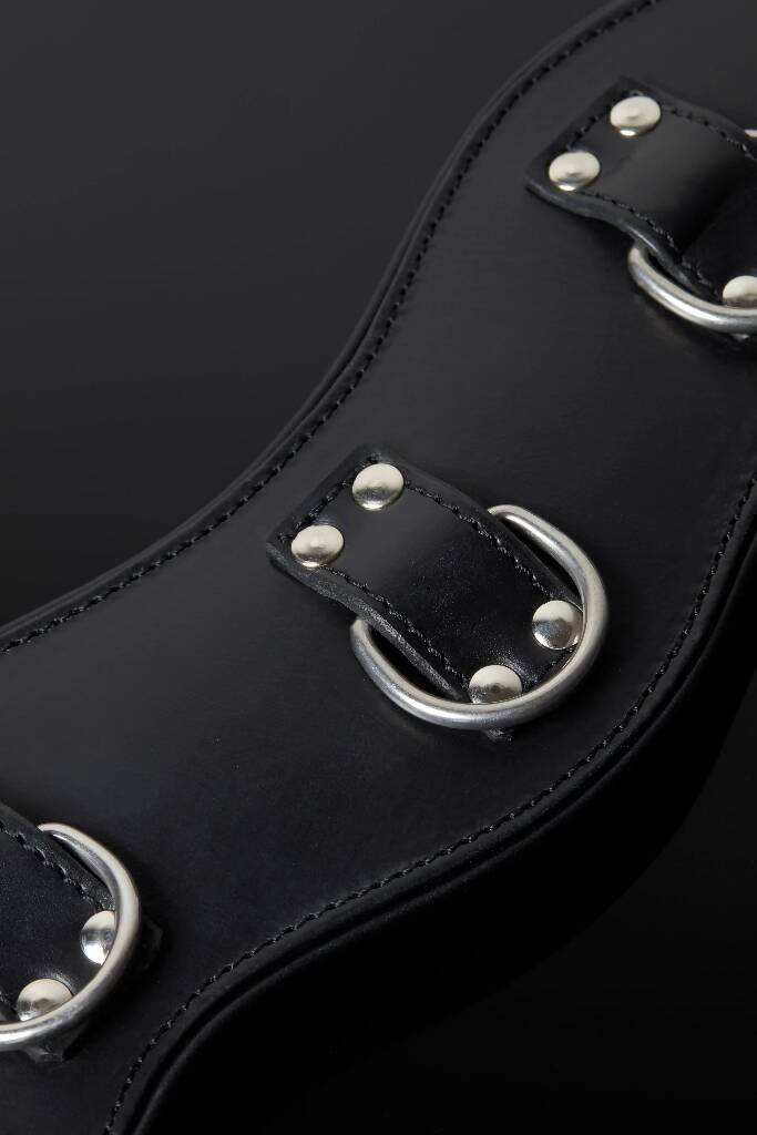 House-of-SXN-Servage_Classic_Posture_Collar_High_4