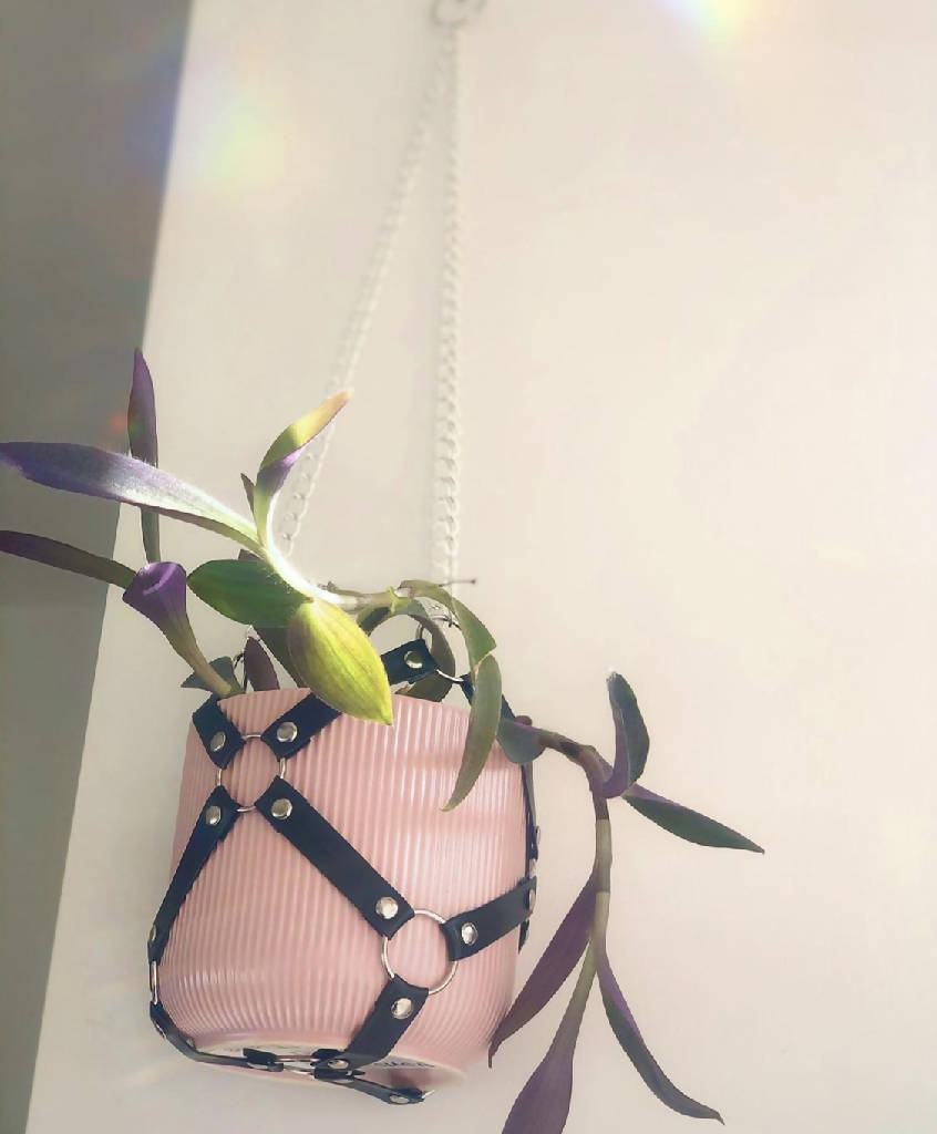 Harness and Chain Plant Hanger