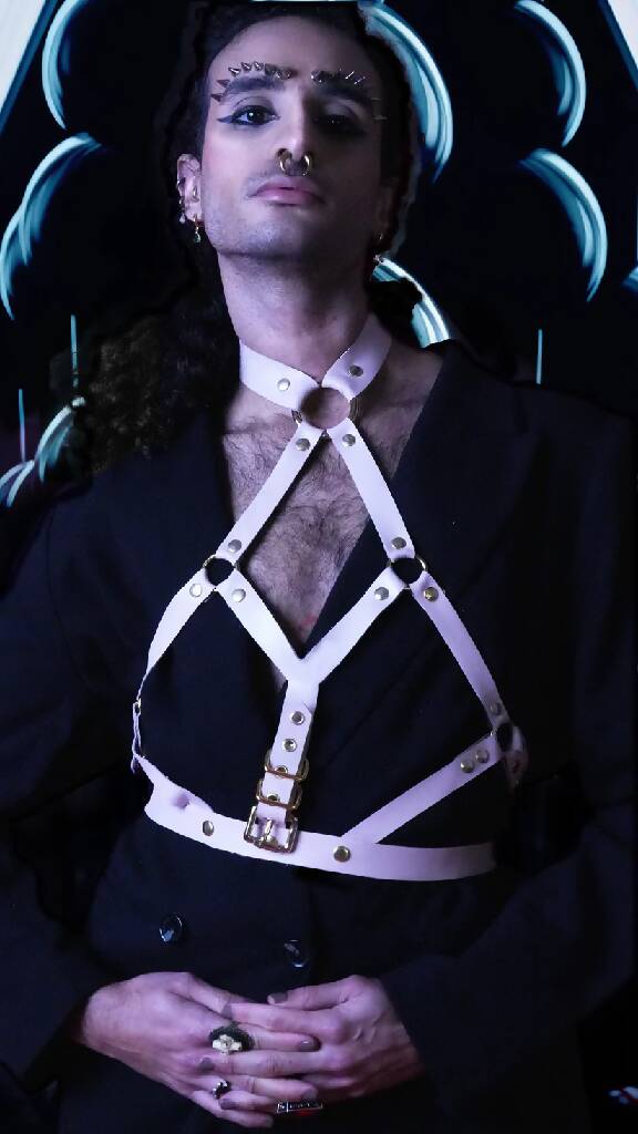 Leather Harness 