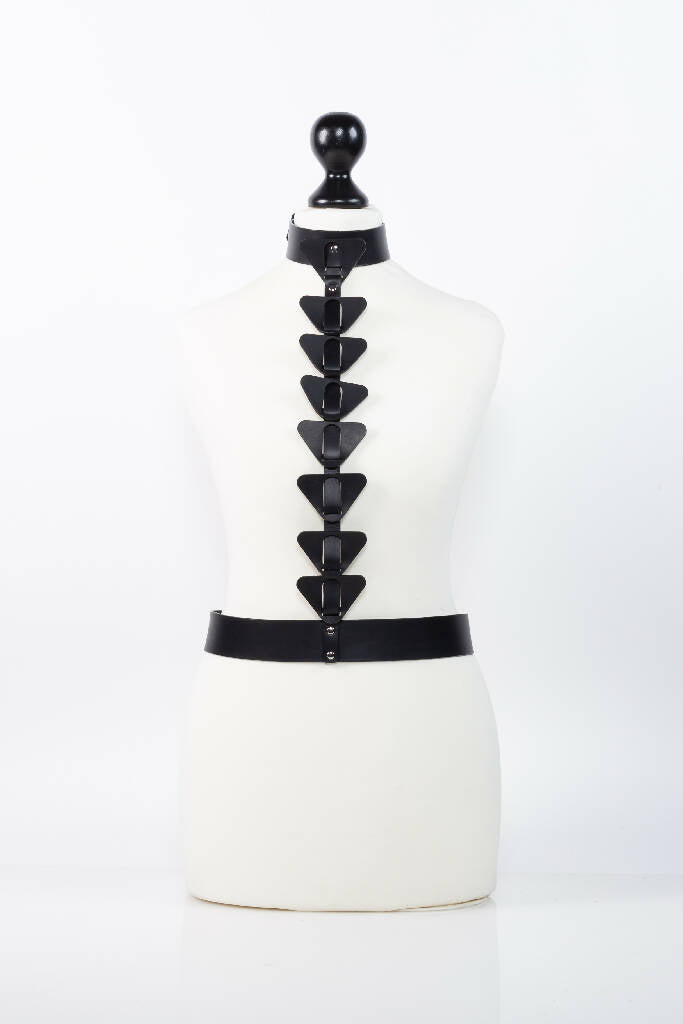 Caesar harness
