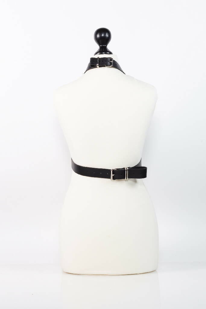 Mysterious harness