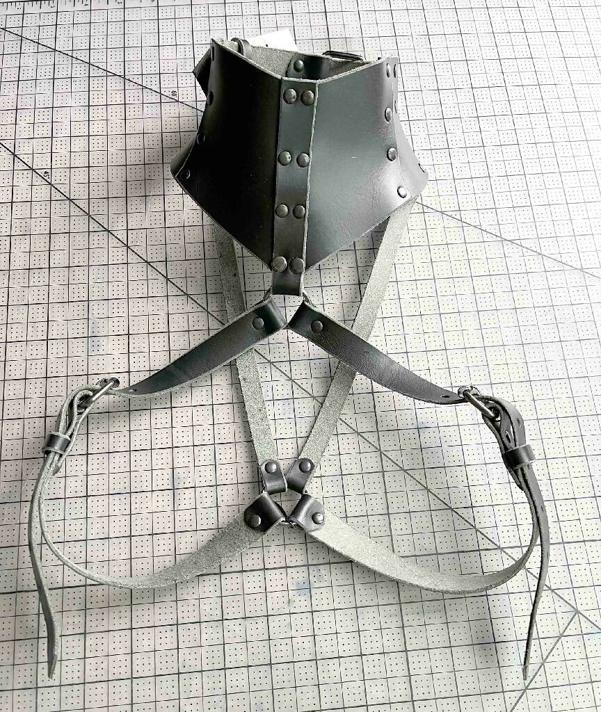 Stigma Men's Leather Posture Collar Harness