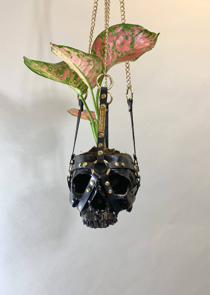 Skull Planter Plant Pot Hanging