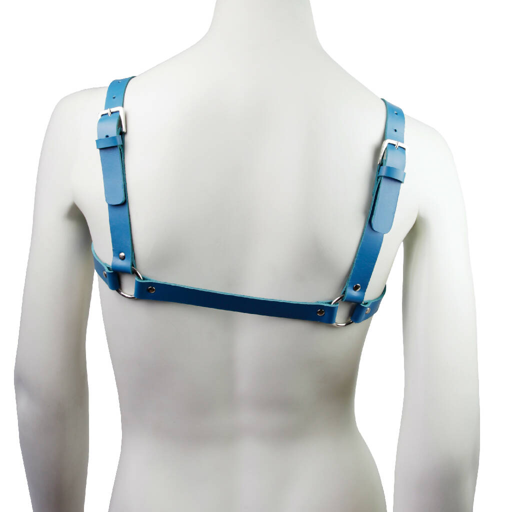 Chestbackblue