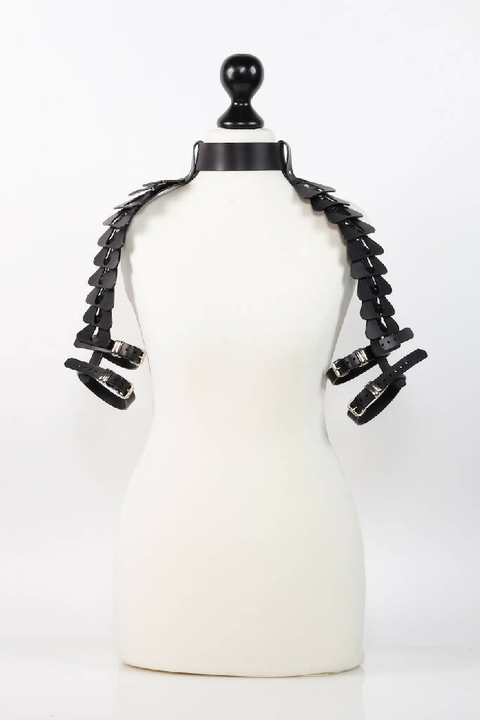 Empire shoulder harness