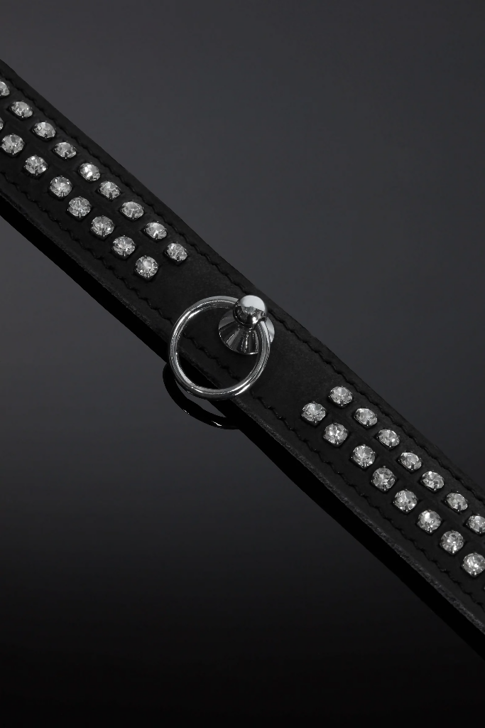House_Of_SXN_Opulenta_Subtilis_Collar_4