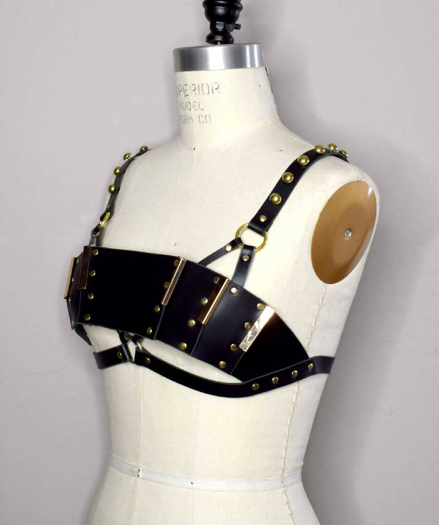 Morgana Paneled Leather Bra Top