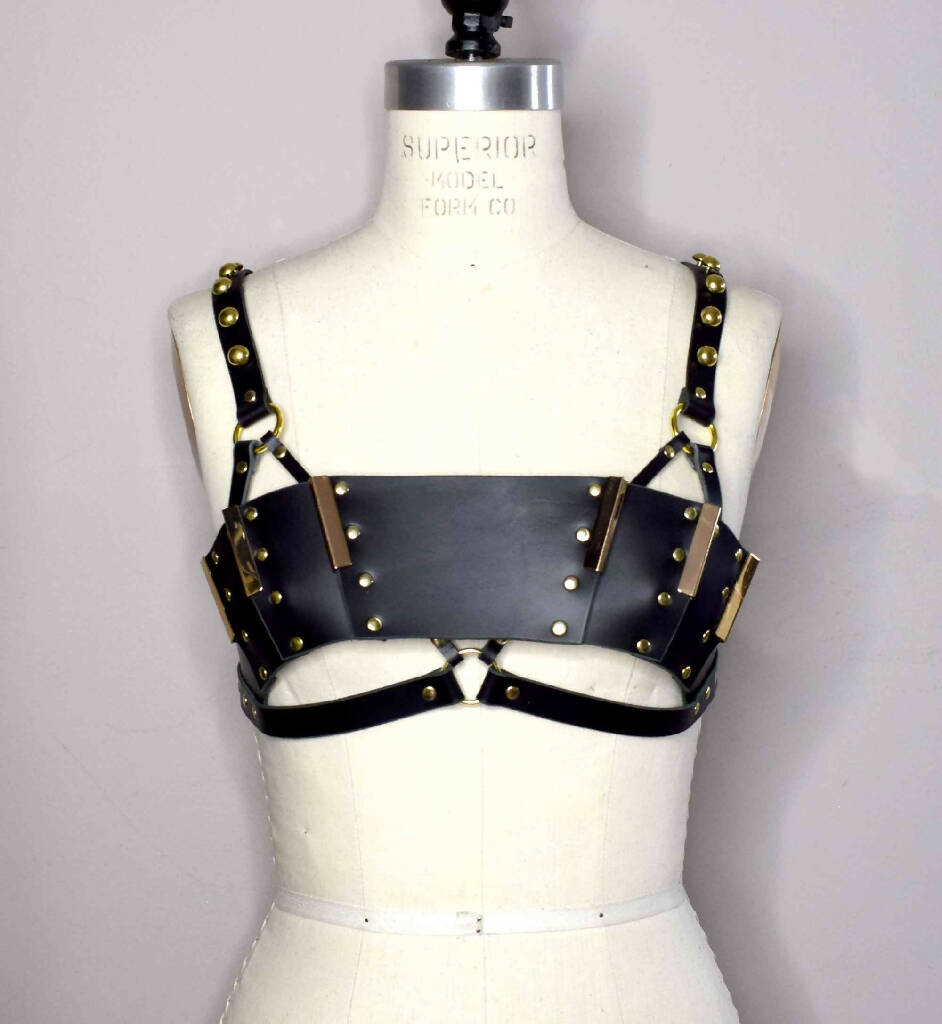 Morgana Paneled Leather Bra Top