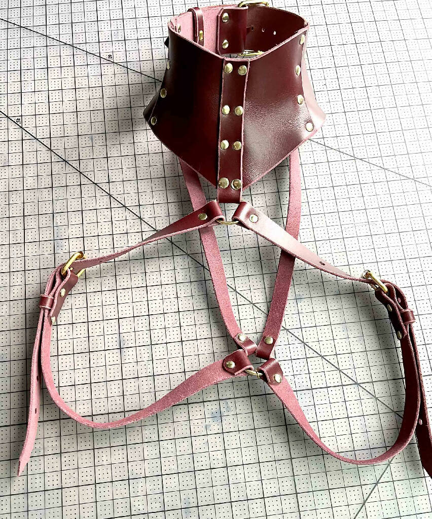 Stigma Men's Leather Posture Collar Harness
