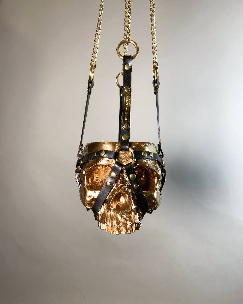 Skull Planter Plant Pot Hanging