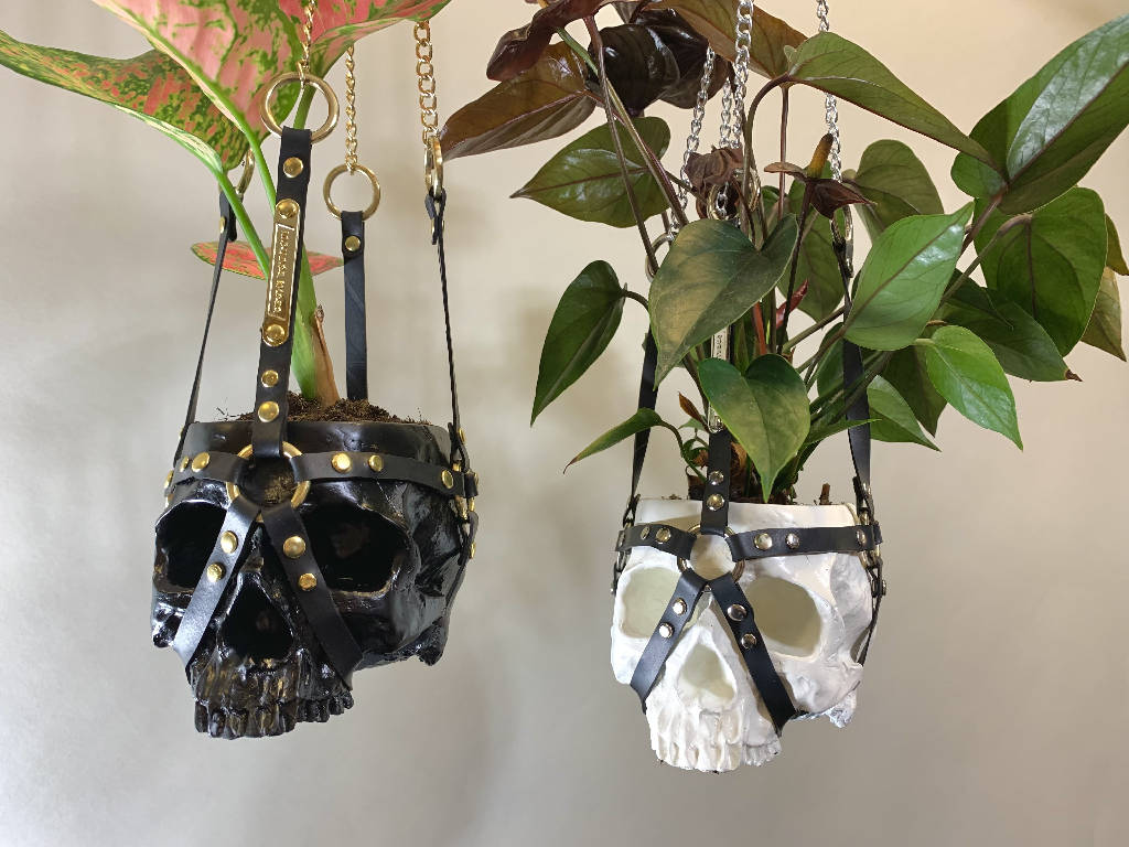 Skull Planter Plant Pot Hanging