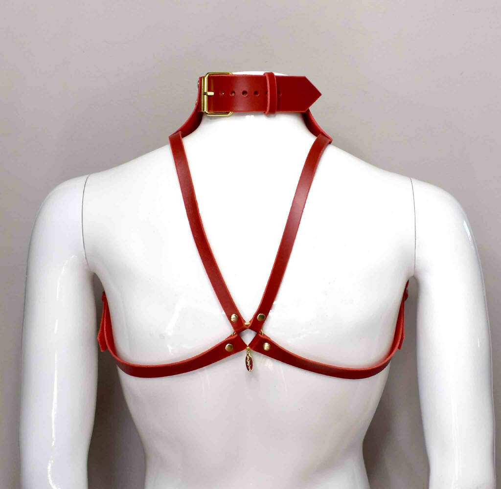 Stigma Men's Leather Posture Collar Harness