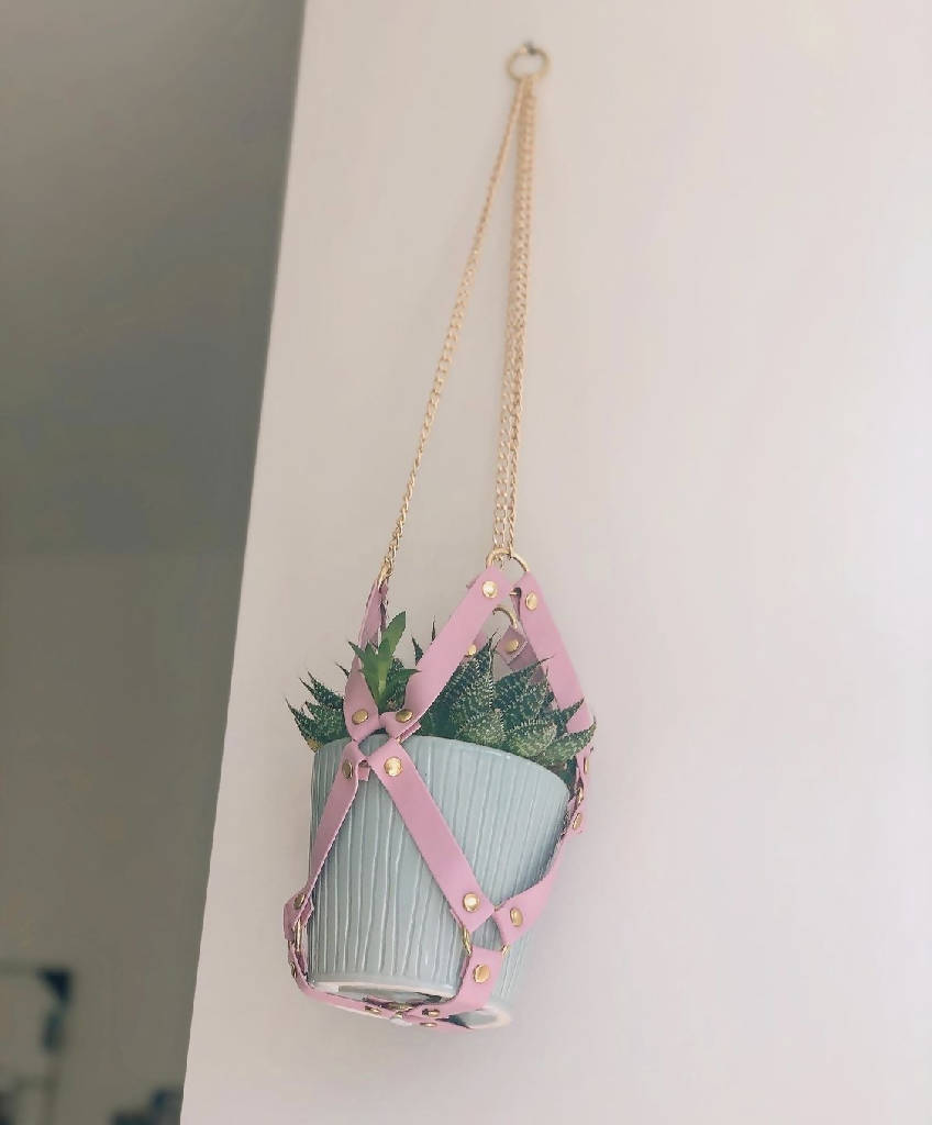 Harness and Chain Plant Hanger