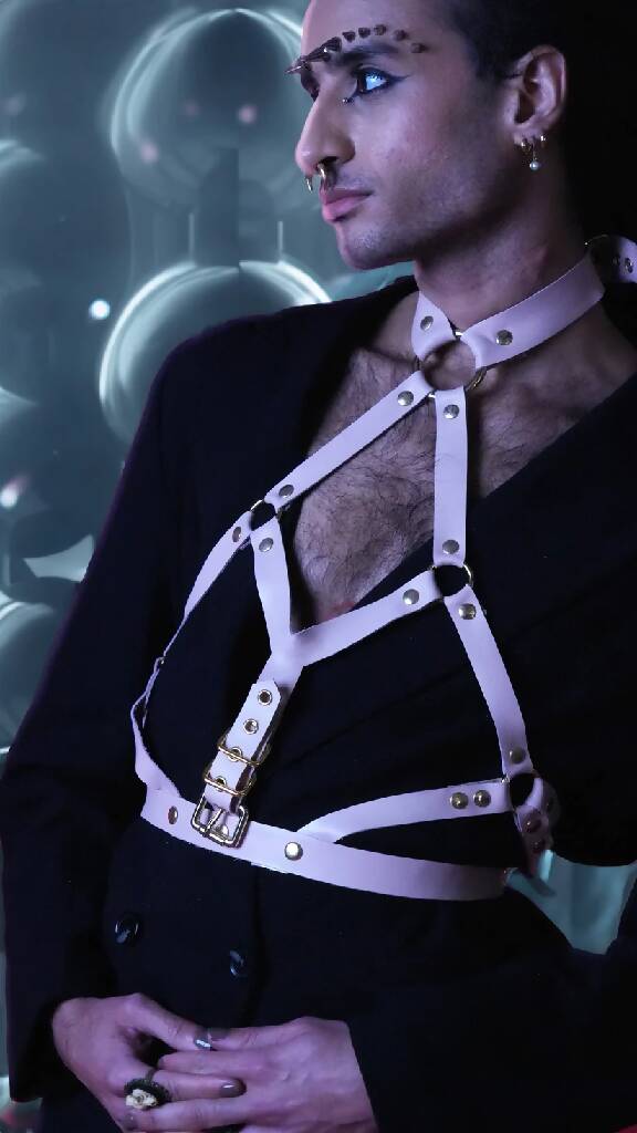 Leather Harness 