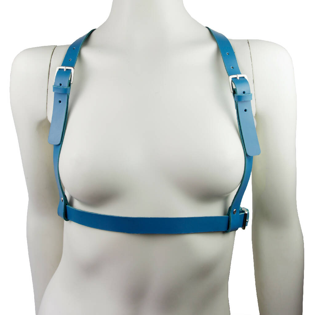 Leather Harness Blue