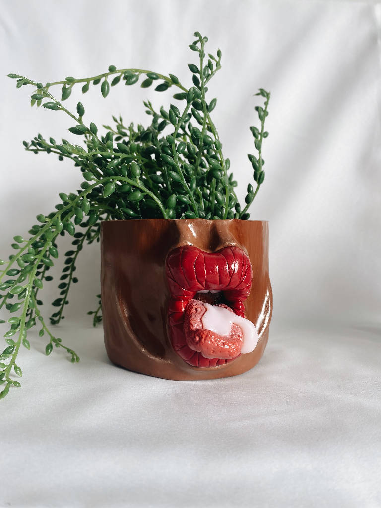 Handmade Dripping Mouth Plant Pot