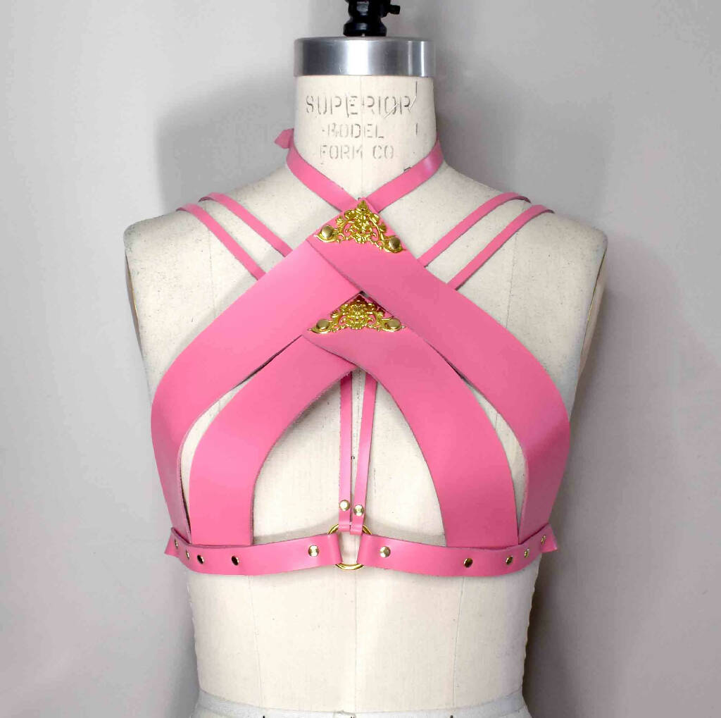Song High Neck Pink Leather Bra