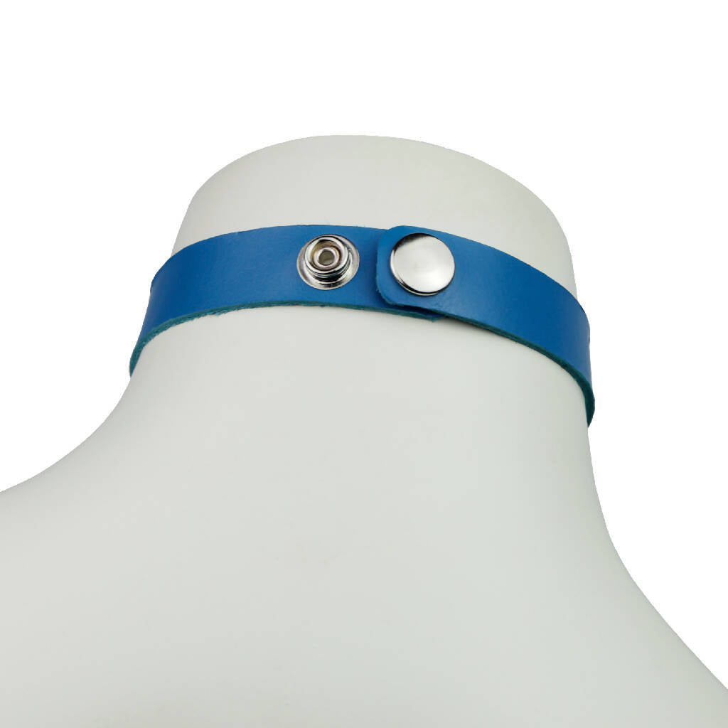 Chokerbackblue