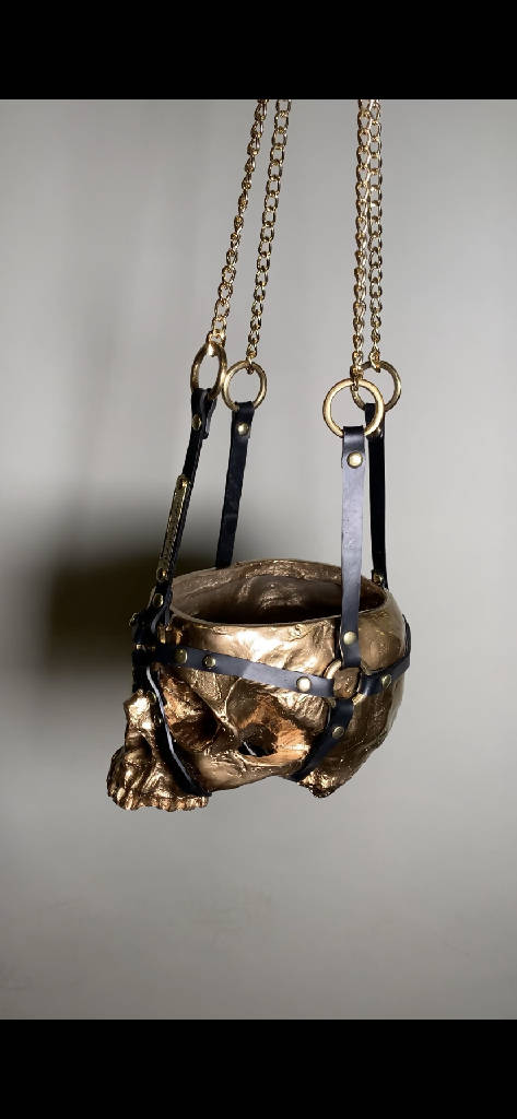 Skull Planter Plant Pot Hanging