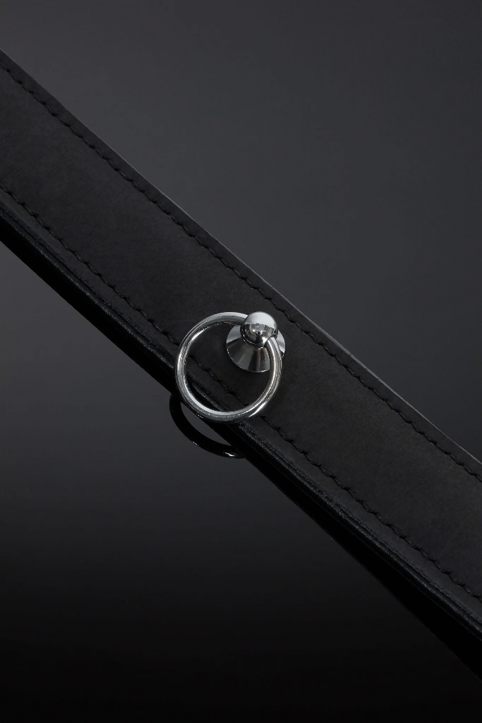 House_of_SXN_Subtilis_Collar_5