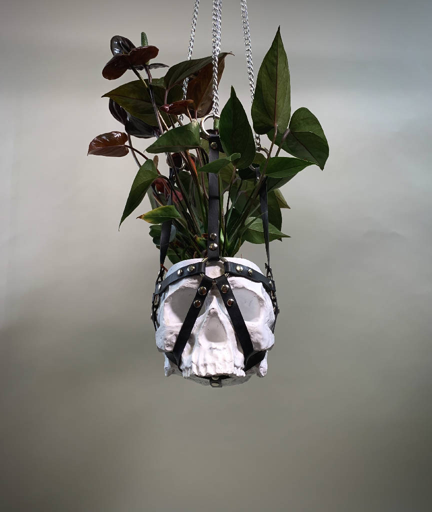 Skull Planter Plant Pot Hanging