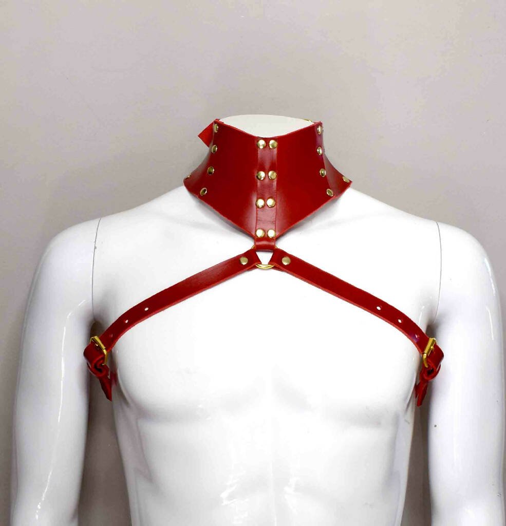 Stigma Men's Leather Posture Collar Harness
