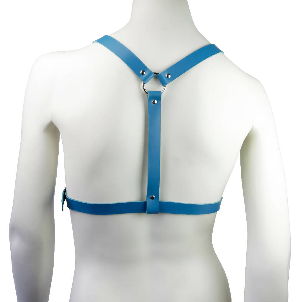 Leather Harness Blue